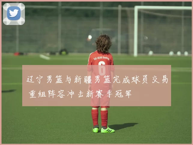 辽宁男篮与新疆男篮完成球员交易 重组阵容冲击新赛季冠军