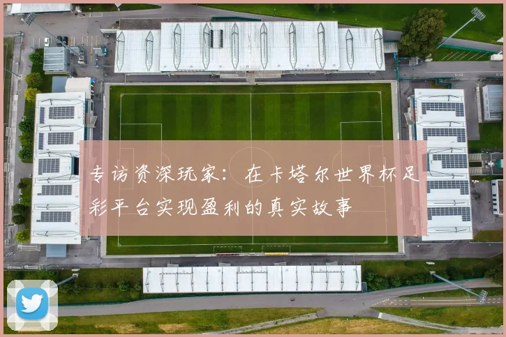专访资深玩家：在卡塔尔世界杯足彩平台实现盈利的真实故事